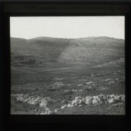 Böhl glass slide 60./1444